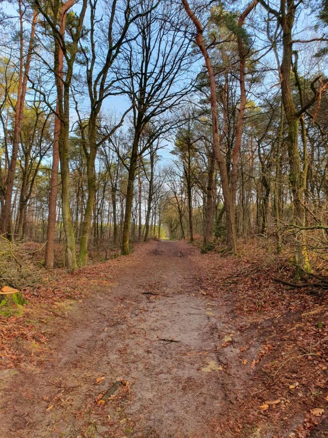 Melderslo B&B De Nieuwenhof 'De Voorkamer' المظهر الخارجي الصورة